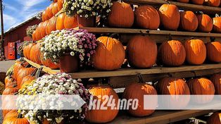 Gnojno: Gminny Festiwal Dyni. Jesienne smaki i rodzinne atrakcje