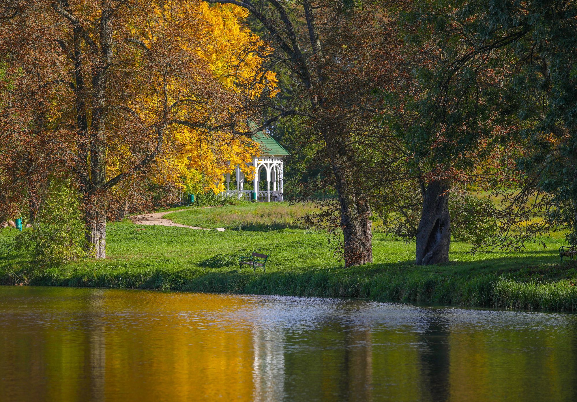 Widok na jeden ze stawów