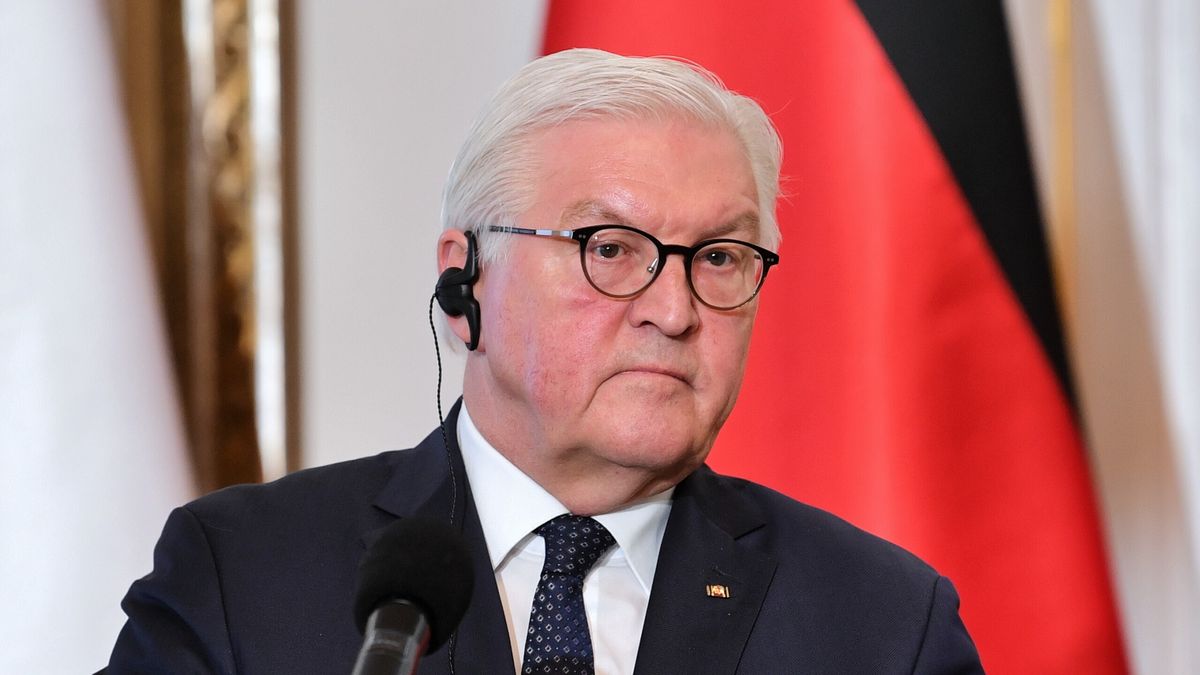 Na zdjęciu Frank-Walter Steinmeier w trakcie konferencji prasowej z Andrzejem Dudą. W tle niemiecka flaga