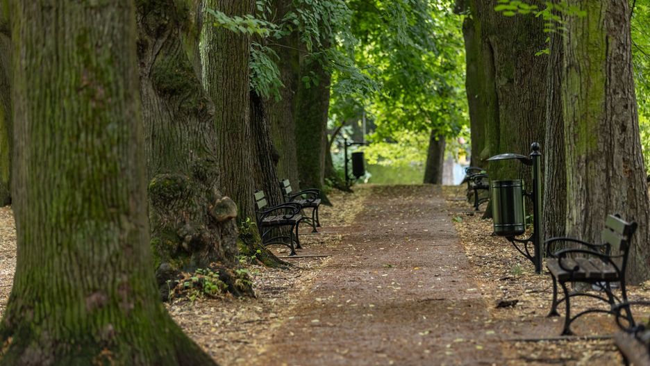 Park im. Tadeusza Kościuszki przy Dworku Białoprądnickim w Krakowie.