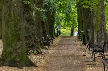 Kraków: Parkowe miniwakacje przy Dworku Białoprądnickim