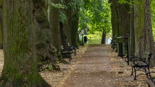 Kraków: Parkowe miniwakacje przy Dworku Białoprądnickim