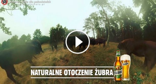 Reklamy tygodnia: Kompania Piwowarska, Nike, Pepsi, Żubr i Żywiec Zdrój (wideo)