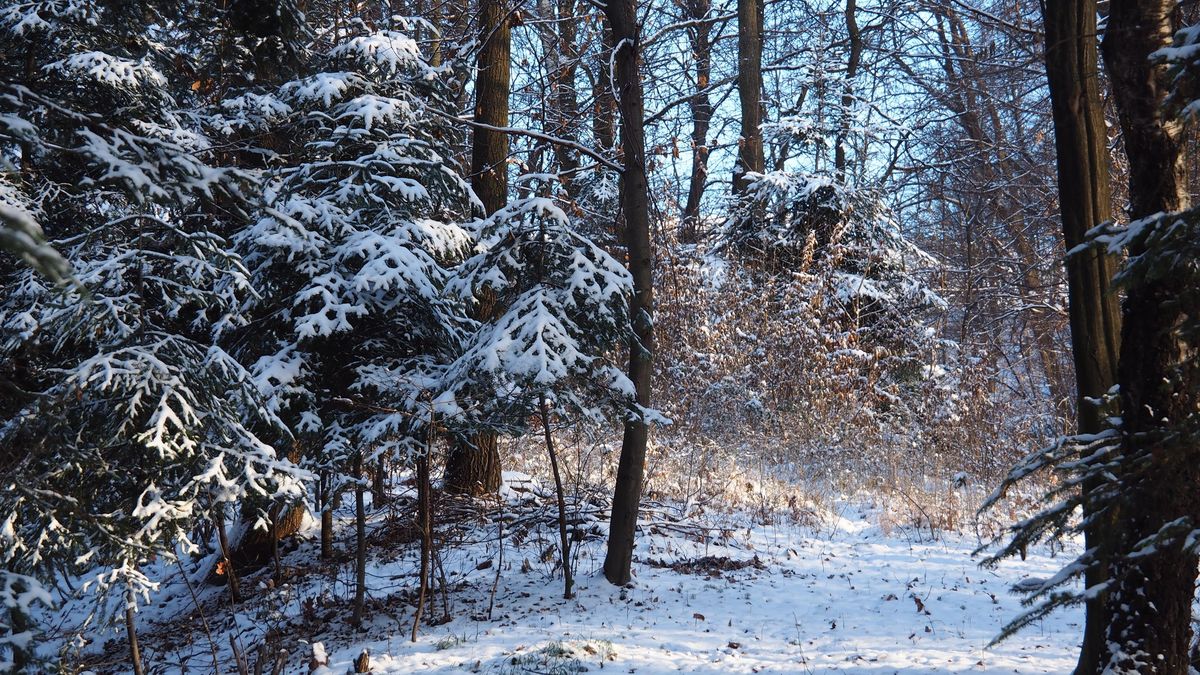 Zdjęcie ilustracyjne.