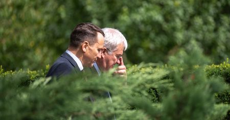 Sikorski spotkał się z Sybihą. Szef MSZ Polski poruszył wrażliwy temat