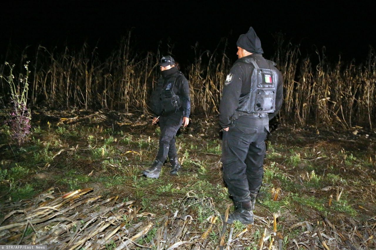 Tajemnicze worki z ciałem znaleziono w meksykańskim stanie Puebla - zdjęcie poglądowe