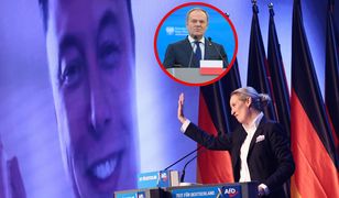"Poparcie dla AfD w Niemczech to alarm polityczny". Tusk uderza w Muska