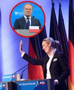 "Poparcie dla AfD w Niemczech to alarm polityczny". Tusk uderza w Muska
