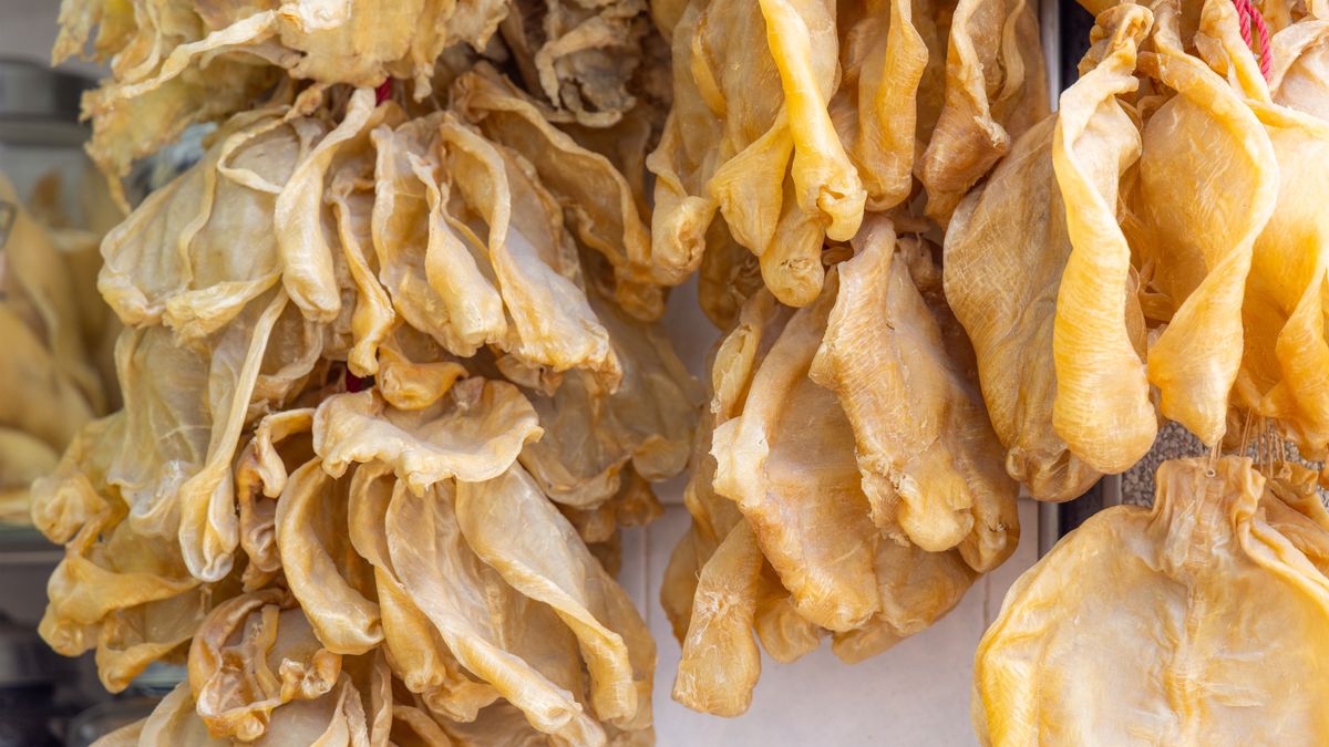 Suszony pęcherz pławny ryby jako luksus? W Azji to skarb