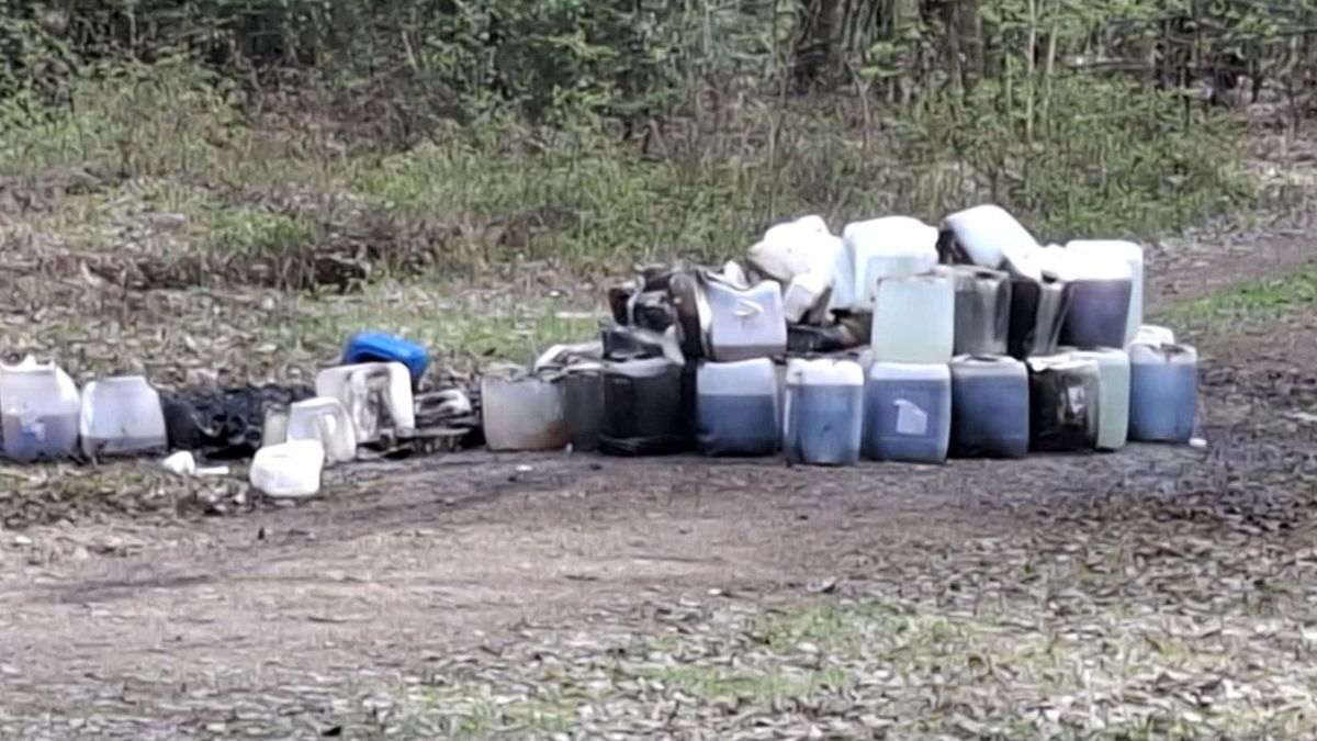 Leśnicy znaleźli niebezpieczne chemikalia