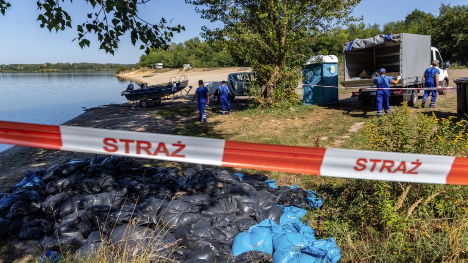 Worki z martwymi rybami z jeziora Dzierżno Duże w Rzeczycach 