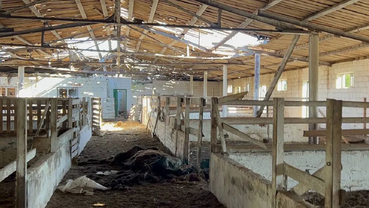 Zoo w Jampilu zniszczone przez Rosjan