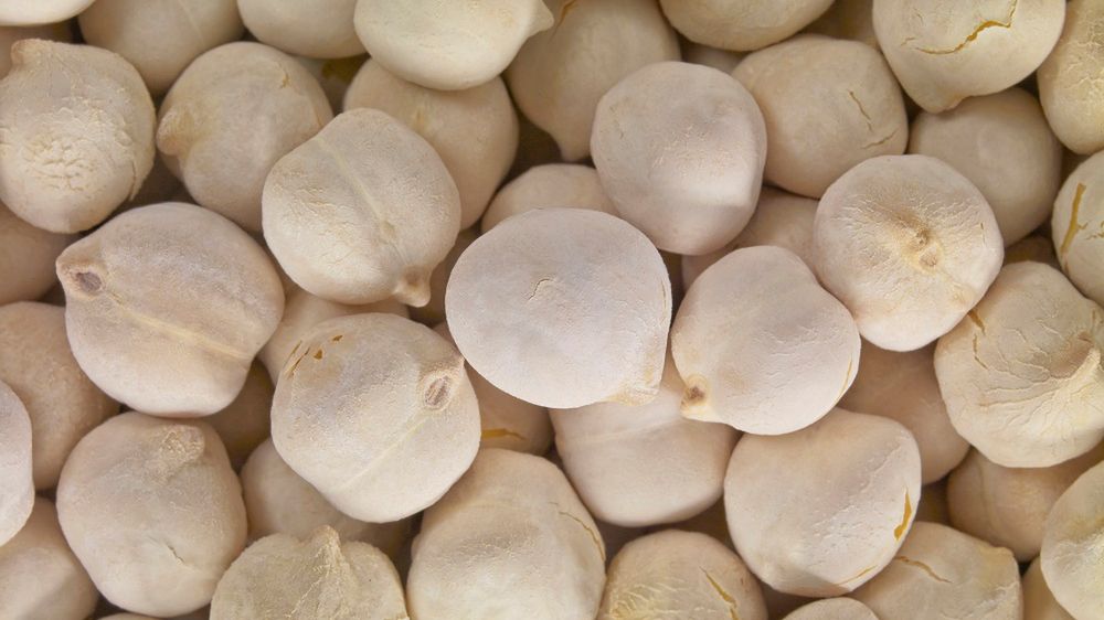 Niezbędna dla cukrzyków. Obniży glukozę w kilka minut