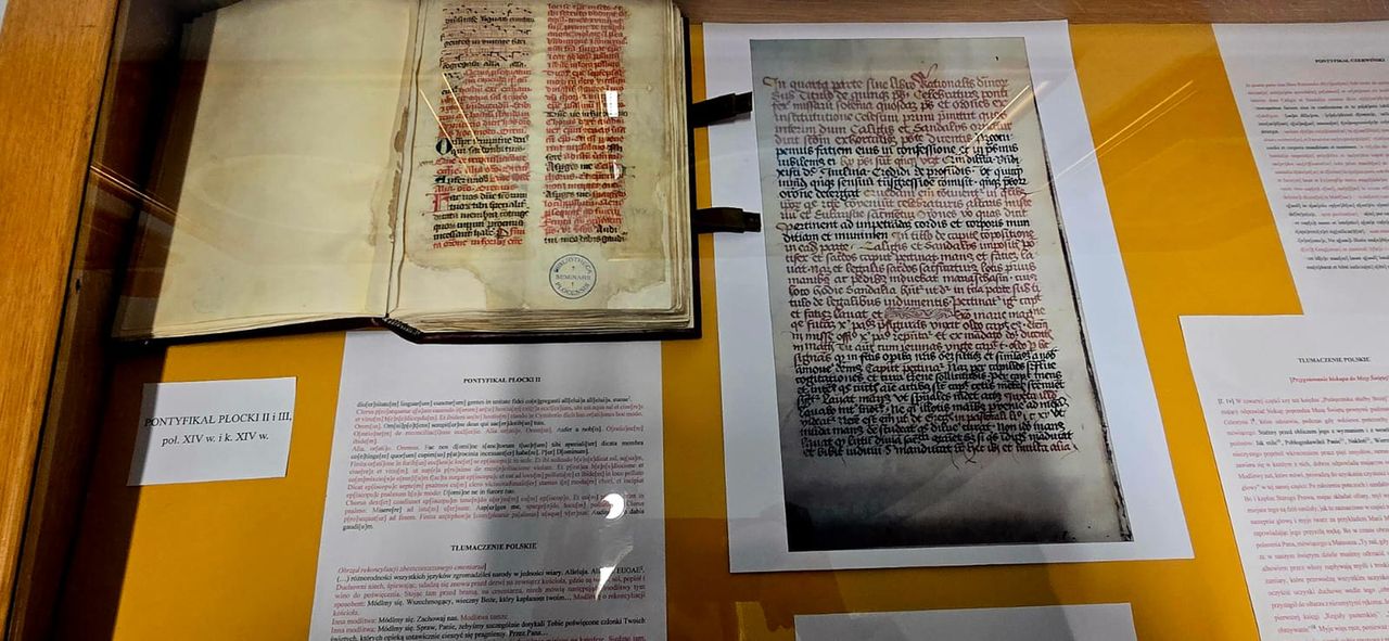 Dzieje Diecezji w rękopisach