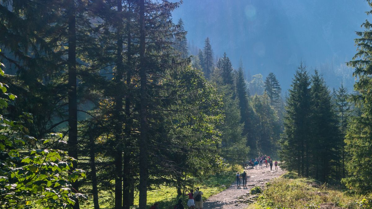 Tatrzańskie doliny są zaśmiecane przez spacerowiczów 