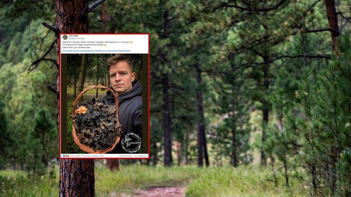 Grzybiarz pokazał zbiory lejkowca dętego.