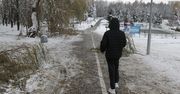 Rzeszów: Śnieg połamał nam drzewa. Ratusz: Straty są ogromne