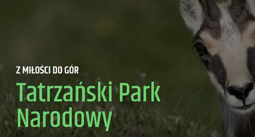 Euvic Media zajmuje się obsługą kampanii Tatrzańskiego Parku Narodowego