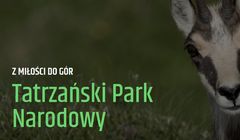 Euvic Media zajmuje się obsługą kampanii Tatrzańskiego Parku Narodowego