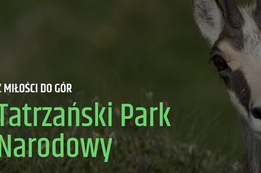 Euvic Media pracuje dla TPN