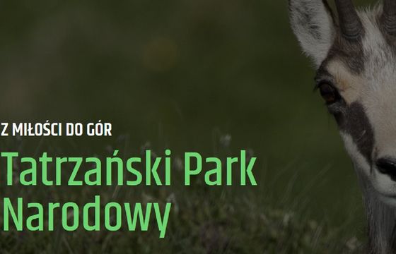 Euvic Media zajmuje się obsługą kampanii Tatrzańskiego Parku Narodowego