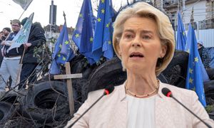 Umowa UE-Mercosur pod lupą. Te polskie branże mogą zyskać najwięcej