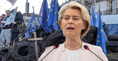 Umowa UE-Mercosur pod lupą. Te polskie branże mogą zyskać najwięcej