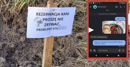 Nie zdążył zebrać grzybów w lesie, więc "zarezerwował". Dostał odpowiedź