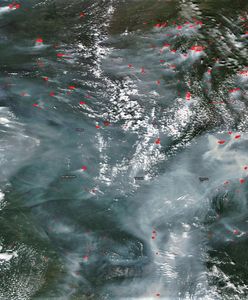 Ogień, od którego robi się zimno ze strachu