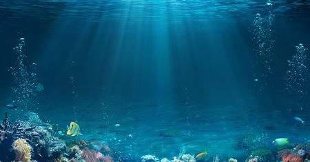 Oceany na świecie - jak powstały, ile jest oceanów na Ziemi?