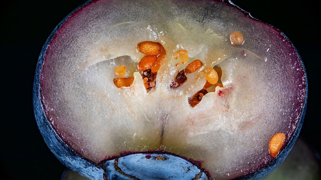 Czarna porzeczka obniża poziom cholesterolu