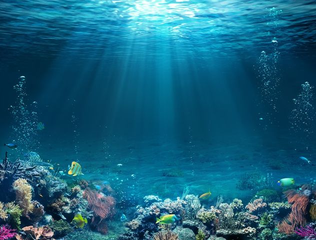 Oceany stanowią największy procent powierzchni Ziemi