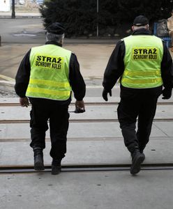 Szukają rąk do pracy. Zarobki do 20 tys. zł miesięcznie