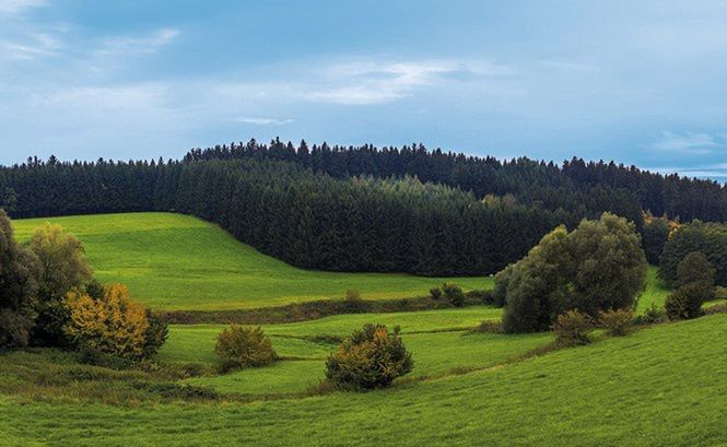 Świętokrzyskie przoduje w działaniach związanych z ochroną środowiska