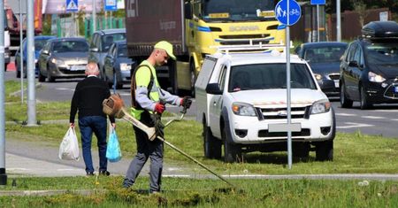 Nie będą kosić wszystkich trawników. Miasto podało powód