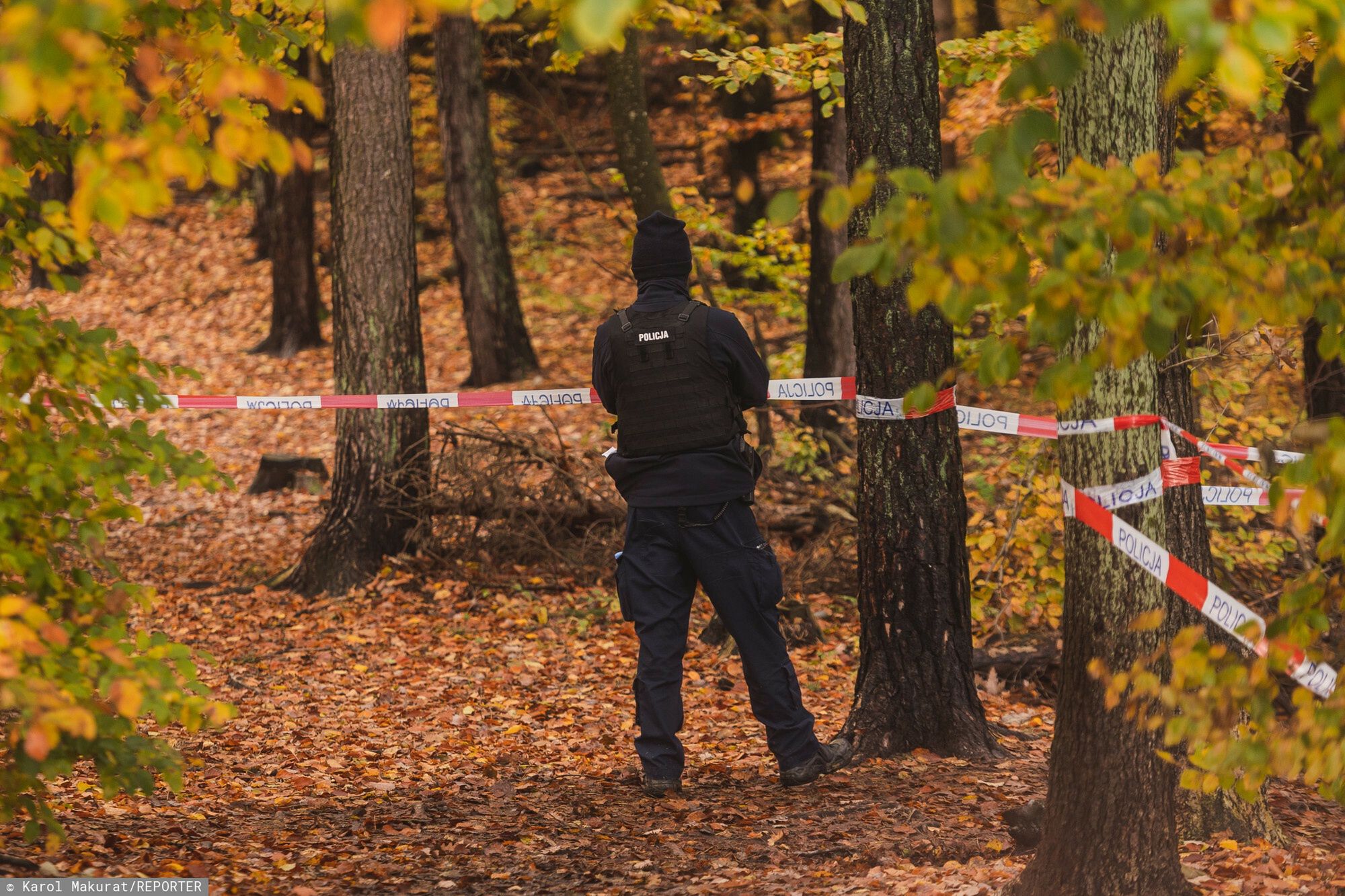 Poszukiwania Grzegorza Borysa
