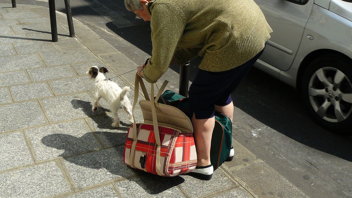 Dla wielu seniorów czworonogi są jedynymi towarzyszami codzienności