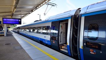 Opłaty PKP. Kiedy trzeba dopłacić za bagaż  i ile za przewóz psa?
