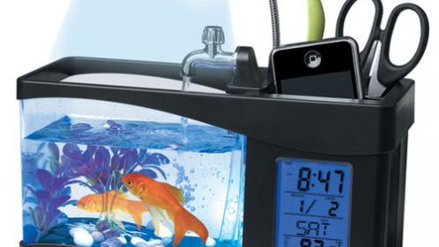 Desktop Aquarium - cztery w jednym 1