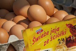 Ostrzeżenie GIS. Salmonella w popularnych jajkach. Uwaga, bakteria jest na skorupkach