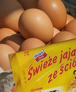 Ostrzeżenie GIS. Salmonella w popularnych jajkach. Uwaga, bakteria jest na skorupkach