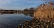 Tarnobrzeg: Festiwal Lodu i Ognia nad Jeziorem. Akcja charytatywna
