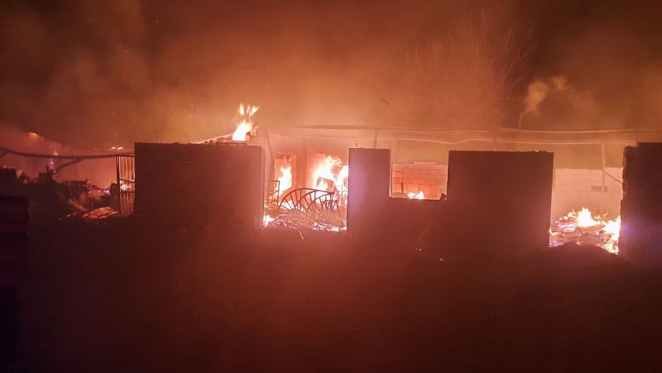 Oleśnica. Pożar zniszczył sens życia i źródło utrzymania pana Zbyszka. Przyjaciele chcą pomóc odbudować jego pasiekę