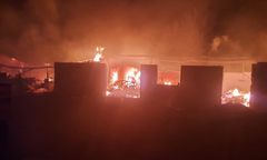 Oleśnica. Pożar zniszczył sens życia i źródło utrzymania pana Zbyszka. Przyjaciele chcą pomóc odbudować jego pasiekę