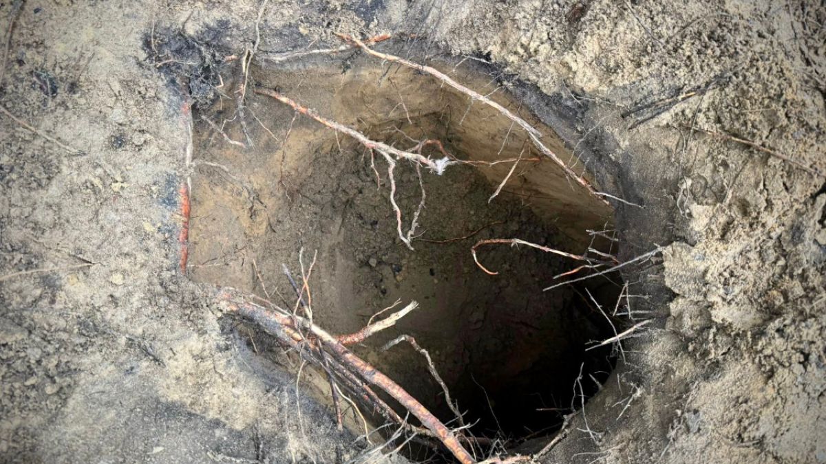 CNN pisze o odkryciu Straży Granicznej