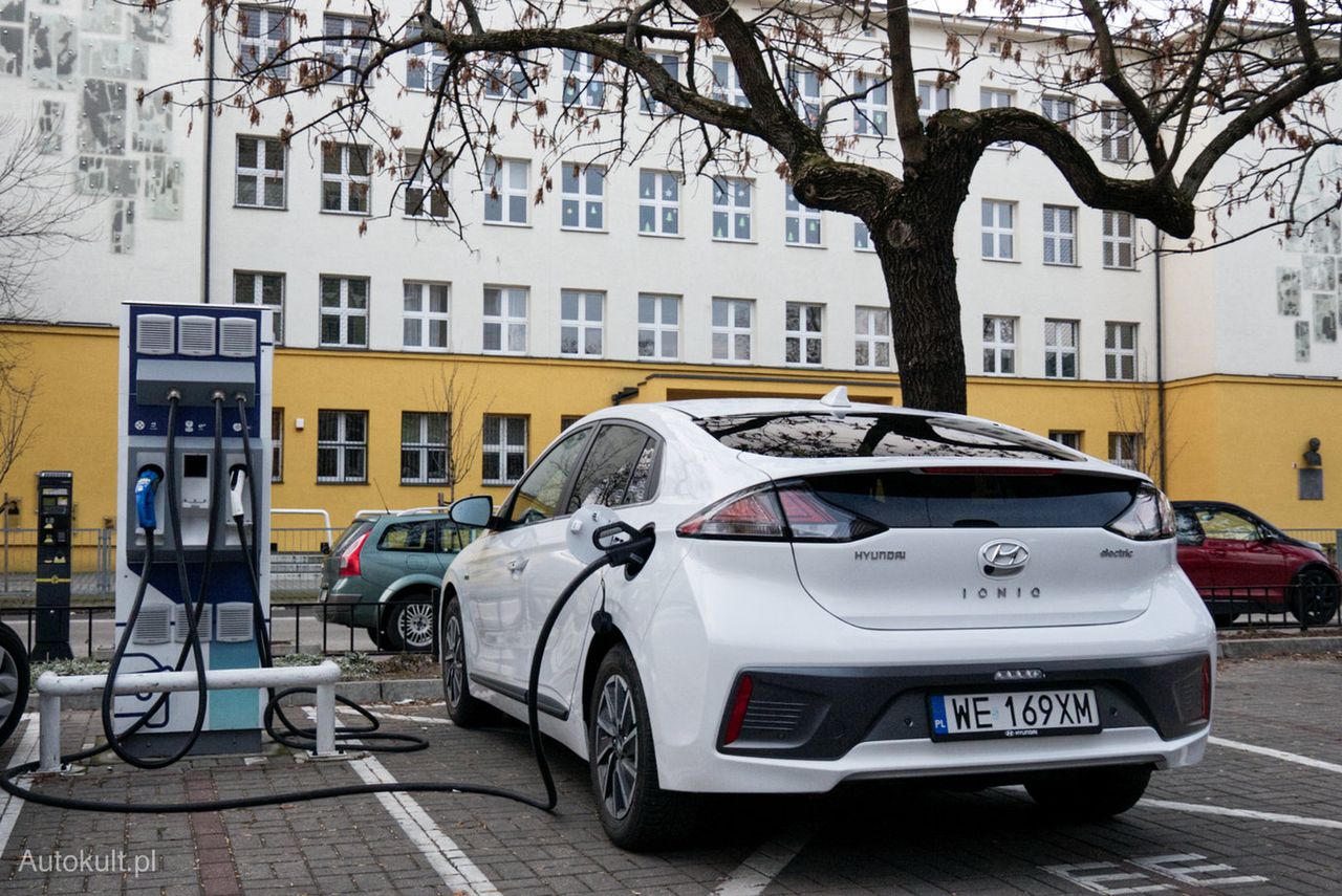 Po raz kolejny liderem zestawienia okazał się Hyundai Ioniq Electric