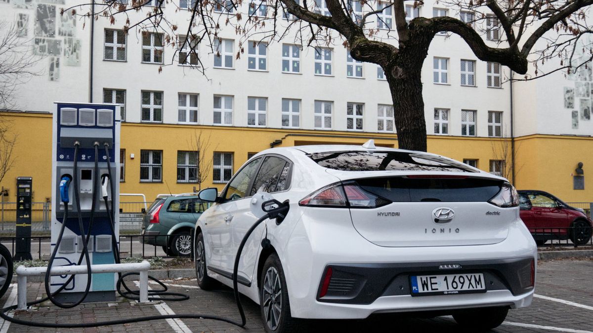 Po raz kolejny liderem zestawienia okazał się Hyundai Ioniq Electric