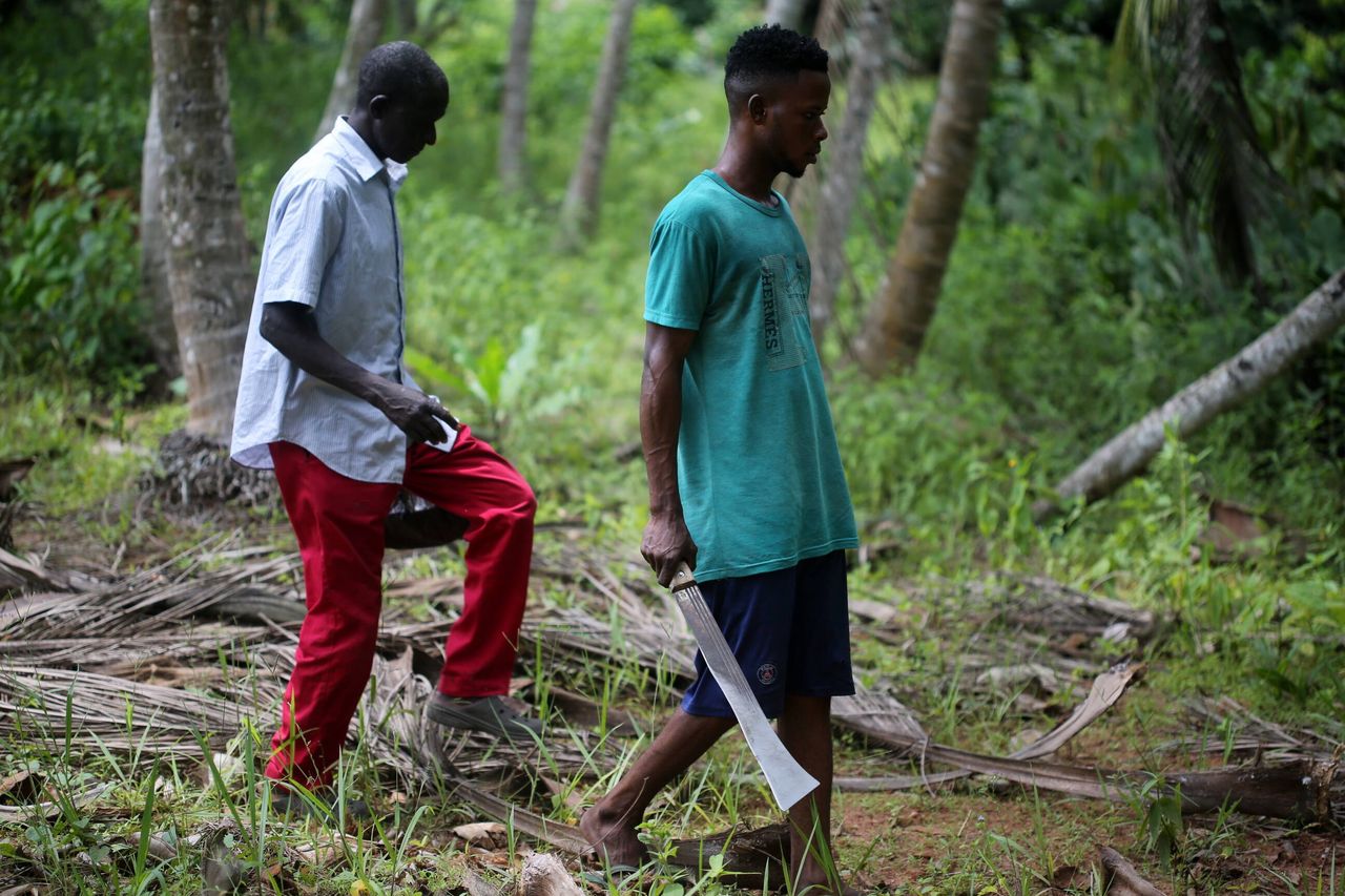 Nigeria. Jedna z porwanych uczennic odnaleziona martwa