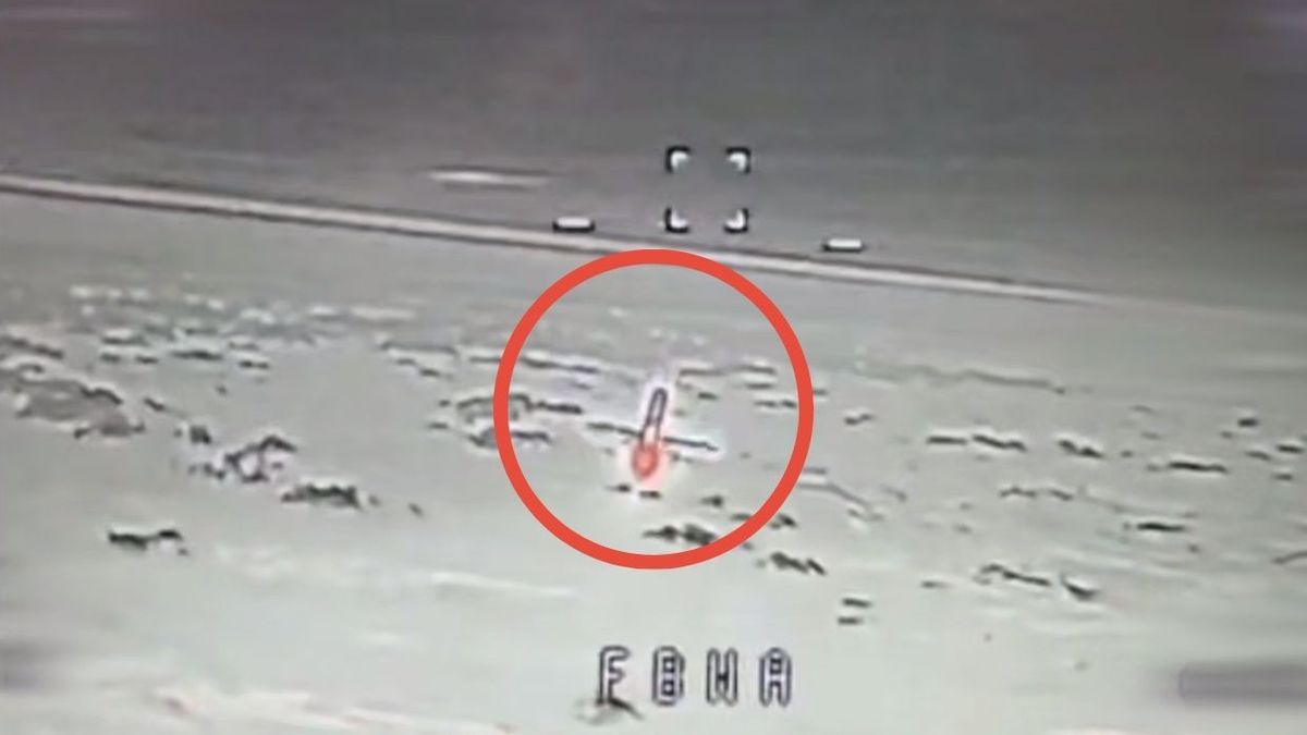 Nowy dron Ukraińców niszczy odrzutowe bezzałogowce. Jest wideo