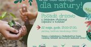 Konin zazieleni się jeszcze bardziej. Darmowe drzewka i poradniki dla mieszkańców